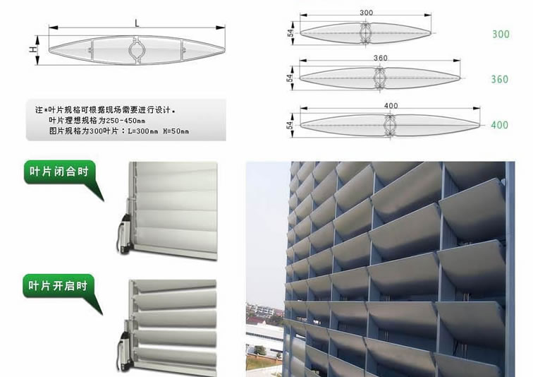 �п����ΰ��~