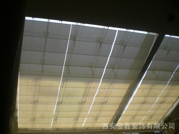 늄�FCS���ﺟ